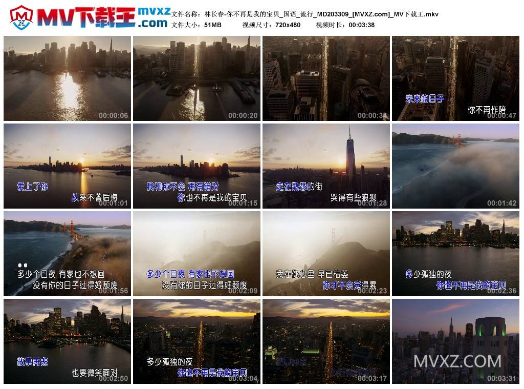 林长春-你不再是我的宝贝_国语_流行_MD203309